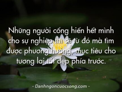 Những người cống hiến hết mình cho sự nghiệp thì sẽ từ đó mà tìm được phương hướng, mục tiêu cho tương lai tốt đẹp phía trước.