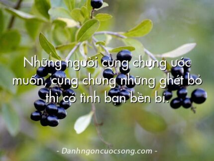 Những người cùng chung ước muốn, cùng chung những ghét bỏ thì có tình bạn bền bỉ.