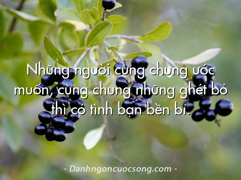 Những người cùng chung ước muốn, cùng chung những ghét bỏ thì có tình bạn bền bỉ.