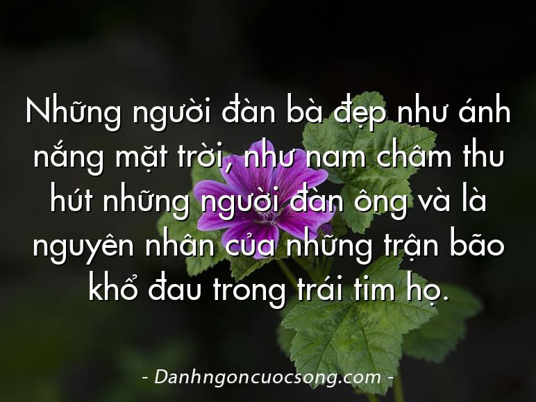 Những người đàn bà đẹp như ánh nắng mặt trời, như nam châm thu hút những người đàn ông và là nguyên nhân của những trận bão khổ đau trong trái tim họ.