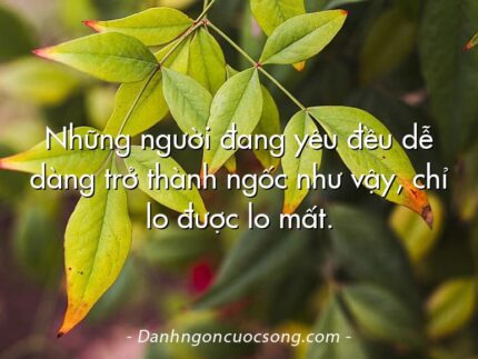 Những người đang yêu đều dễ dàng trở thành ngốc như vậy, chỉ lo được lo mất.