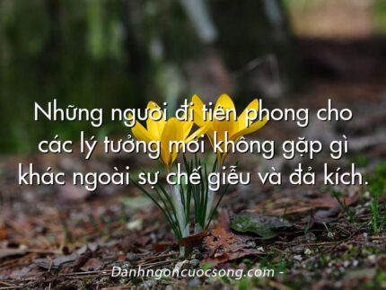 Những người đi tiên phong cho các lý tưởng mới không gặp gì khác ngoài sự chế giễu và đả kích.