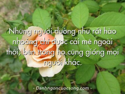 Những người dường như rất hào nhoáng chỉ được cái mẽ ngoài thôi; bên trong họ cũng giống mọi người khác.