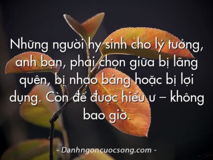 Những người hy sinh cho lý tưởng, anh bạn, phải chọn giữa bị lãng quên, bị nhạo báng hoặc bị lợi dụng. Còn để được hiểu ư – không bao giờ.