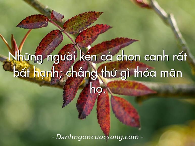 Những người kén cá chọn canh rất bất hạnh; chẳng thứ gì thỏa mãn họ.