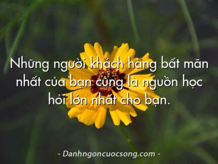 Những người khách hàng bất mãn nhất của bạn cũng là nguồn học hỏi lớn nhất cho bạn.