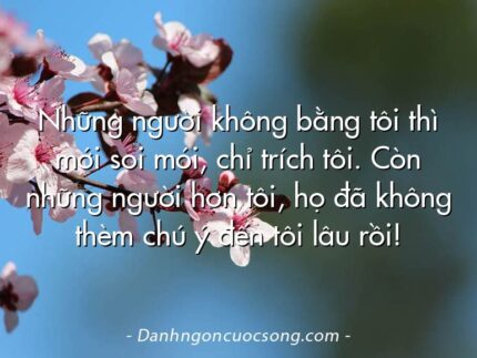 Những người không bằng tôi thì mới soi mói, chỉ trích tôi. Còn những người hơn tôi, họ đã không thèm chú ý đến tôi lâu rồi!