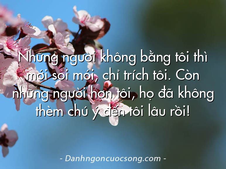 Những người không bằng tôi thì mới soi mói, chỉ trích tôi. Còn những người hơn tôi, họ đã không thèm chú ý đến tôi lâu rồi!