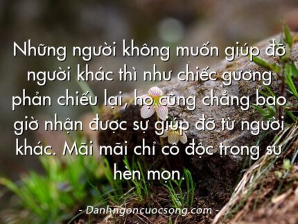 Những người không muốn giúp đỡ người khác thì như chiếc gương phản chiếu lại, họ cũng chẳng bao giờ nhận được sự giúp đỡ từ người khác. Mãi mãi chỉ cô độc trong sự hèn mọn.