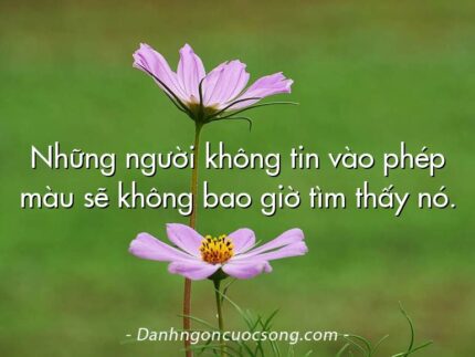 Những người không tin vào phép màu sẽ không bao giờ tìm thấy nó.