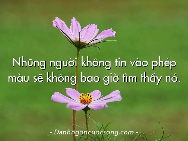 Những người không tin vào phép màu sẽ không bao giờ tìm thấy nó.