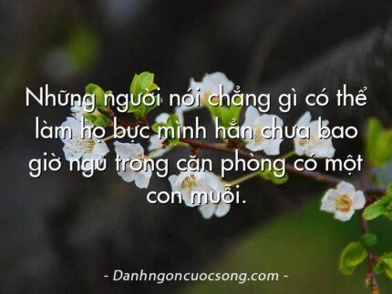 Những người nói chẳng gì có thể làm họ bực mình hẳn chưa bao giờ ngủ trong căn phòng có một con muỗi.