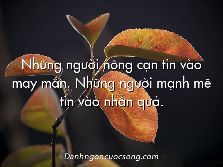 Những người nông cạn tin vào may mắn. Những người mạnh mẽ tin vào nhân quả.