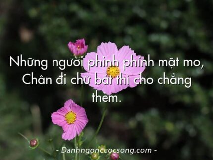 Những người phinh phính mặt mo, Chân đi chữ bát thì cho chẳng thèm.