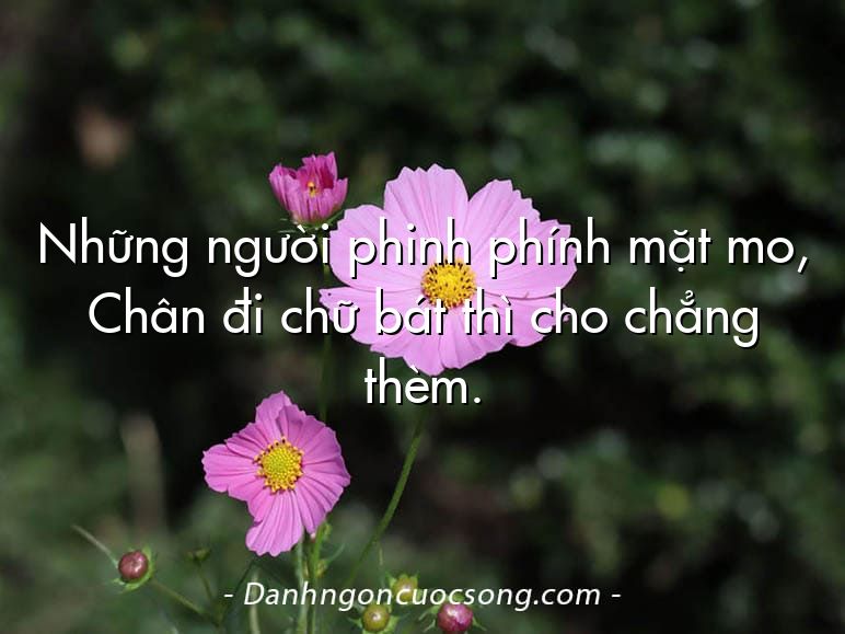 Những người phinh phính mặt mo, Chân đi chữ bát thì cho chẳng thèm.
