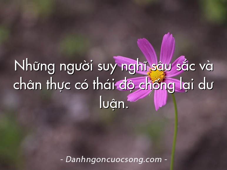 Những người suy nghĩ sâu sắc và chân thực có thái độ chống lại dư luận.