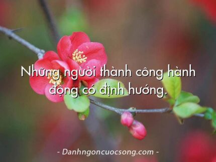 Những người thành công hành động có định hướng.
