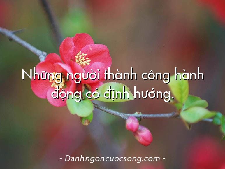 Những người thành công hành động có định hướng.
