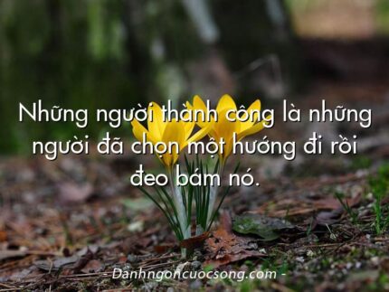 Những người thành công là những người đã chọn một hướng đi rồi đeo bám nó.