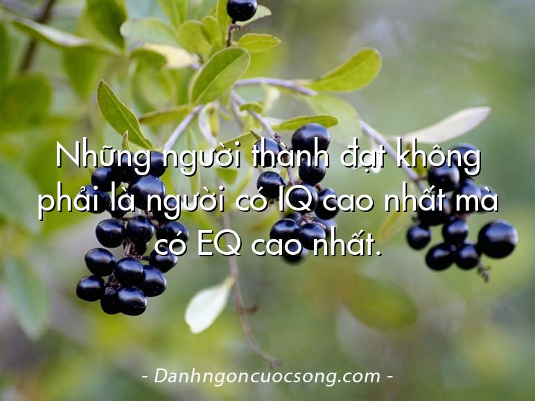 Những người thành đạt không phải là người có IQ cao nhất mà có EQ cao nhất.