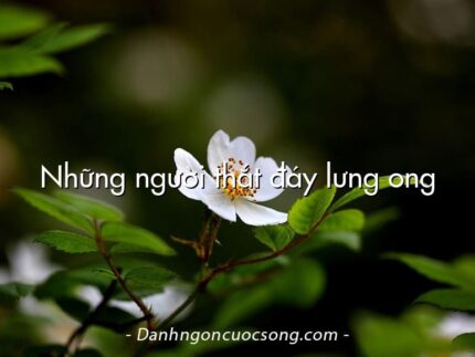 Những người thắt đáy lưng ong