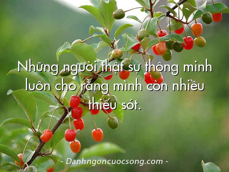 Những người thật sự thông minh luôn cho rằng mình còn nhiều thiếu sót.