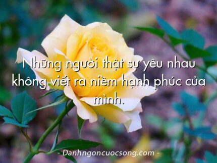 Những người thật sự yêu nhau không viết ra niềm hạnh phúc của mình.