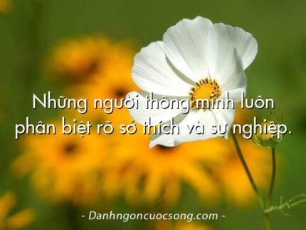 Những người thông minh luôn phân biệt rõ sở thích và sự nghiệp.