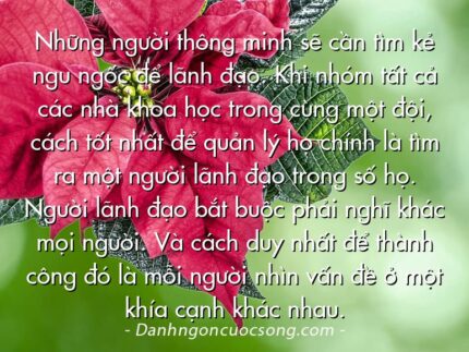 Những người thông minh sẽ cần tìm kẻ ngu ngốc để lãnh đạo. Khi nhóm tất cả các nhà khoa học trong cùng một đội, cách tốt nhất để quản lý họ chính là tìm ra một người lãnh đạo trong số họ. Người lãnh đạo bắt buộc phải nghĩ khác mọi người. Và cách duy nhất để thành công đó là mỗi người nhìn vấn đề ở một khía cạnh khác nhau.