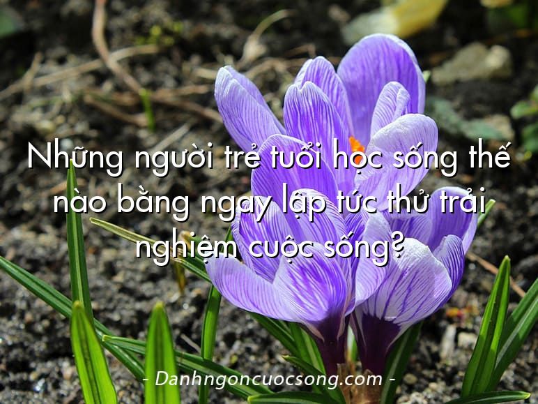 Những người trẻ tuổi học sống thế nào bằng ngay lập tức thử trải nghiệm cuộc sống?