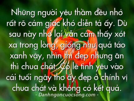 Những người yêu thầm đều nhớ rất rõ cảm giác khó diễn tả ấy. Dù sau này nhớ lại vẫn cảm thấy xót xa trong lòng, giống như quả táo xanh vậy, nhìn thì đẹp nhưng ăn thì chua chát. Có lẽ tình yêu vào cái tuổi ngây thơ ấy đẹp ở chính vị chua chát và không có kết quả.