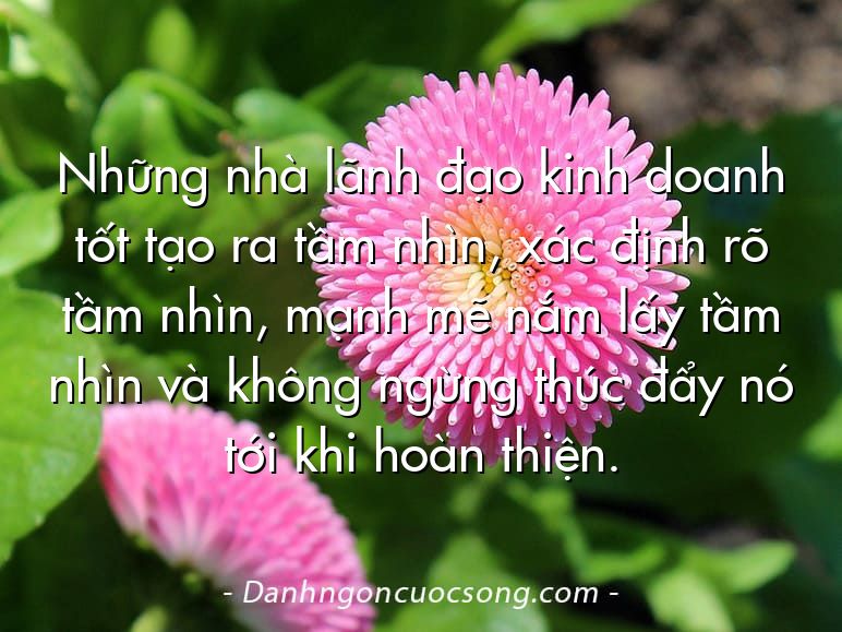 Những nhà lãnh đạo kinh doanh tốt tạo ra tầm nhìn, xác định rõ tầm nhìn, mạnh mẽ nắm lấy tầm nhìn và không ngừng thúc đẩy nó tới khi hoàn thiện.