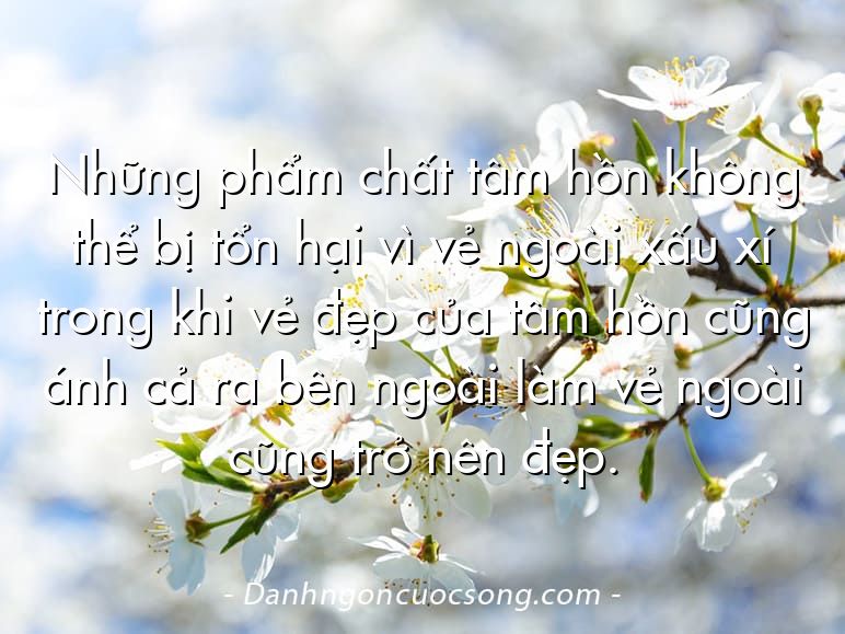 Những phẩm chất tâm hồn không thể bị tổn hại vì vẻ ngoài xấu xí trong khi vẻ đẹp của tâm hồn cũng ánh cả ra bên ngoài làm vẻ ngoài cũng trở nên đẹp.
