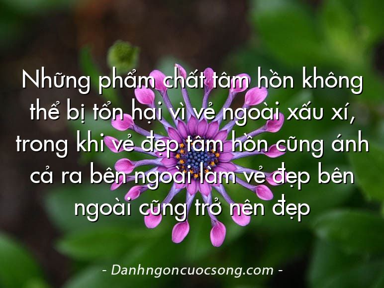 Những phẩm chất tâm hồn không thể bị tổn hại vì vẻ ngoài xấu xí, trong khi vẻ đẹp tâm hồn cũng ánh cả ra bên ngoài làm vẻ đẹp bên ngoài cũng trở nên đẹp