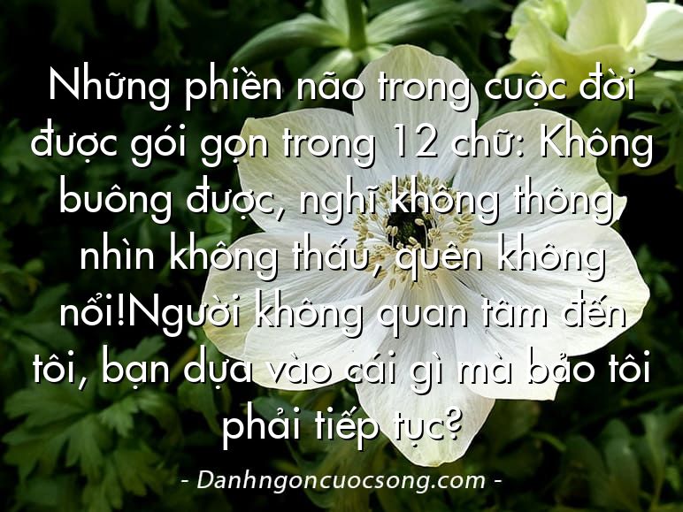 Những phiền não trong cuộc đời được gói gọn trong 12 chữ: Không buông được, nghĩ không thông, nhìn không thấu, quên không nổi!Người không quan tâm đến tôi, bạn dựa vào cái gì mà bảo tôi phải tiếp tục?