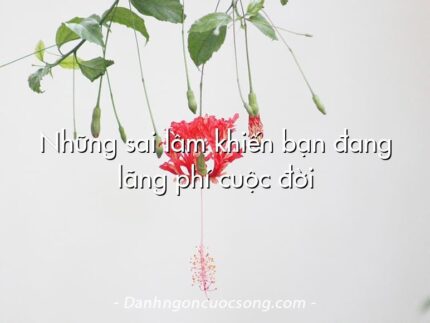 Những sai lầm khiến bạn đang lãng phí cuộc đời