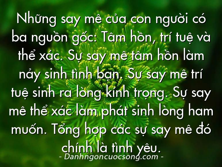 Những say mê của con người có ba nguồn gốc: Tâm hồn, trí tuệ và thể xác. Sự say mê tâm hồn làm nảy sinh tình bạn. Sự say mê trí tuệ sinh ra lòng kính trọng. Sự say mê thể xác làm phát sinh lòng ham muốn. Tổng hợp các sự say mê đó chính là tình yêu.