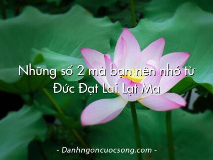 Những số 2 mà bạn nên nhớ từ Đức Đạt Lai Lạt Ma