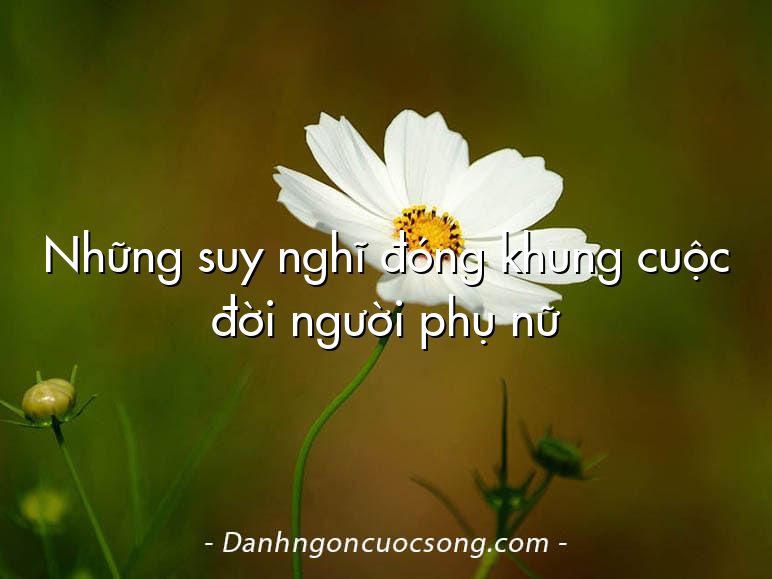 Những suy nghĩ đóng khung cuộc đời người phụ nữ