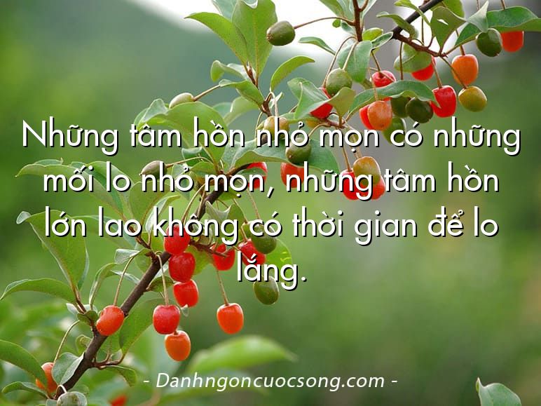 Những tâm hồn nhỏ mọn có những mối lo nhỏ mọn, những tâm hồn lớn lao không có thời gian để lo lắng.