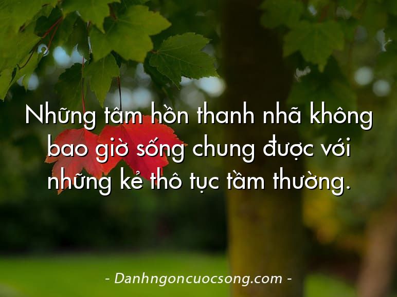 Những tâm hồn thanh nhã không bao giờ sống chung được với những kẻ thô tục tầm thường.