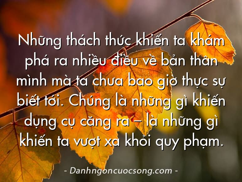 Những thách thức khiến ta khám phá ra nhiều điều về bản thân mình mà ta chưa bao giờ thực sự biết tới. Chúng là những gì khiến dụng cụ căng ra – là những gì khiến ta vượt xa khỏi quy phạm.