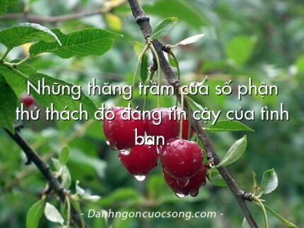Những thăng trầm của số phận thử thách độ đáng tin cậy của tình bạn.