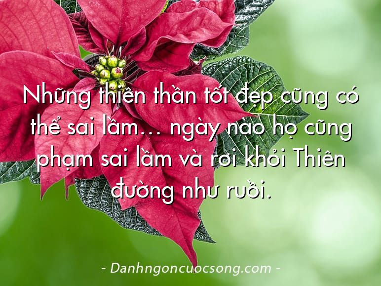 Những thiên thần tốt đẹp cũng có thể sai lầm… ngày nào họ cũng phạm sai lầm và rơi khỏi Thiên đường như ruồi.