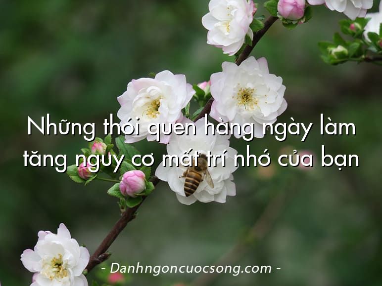 Những thói quen hàng ngày làm tăng nguy cơ mất trí nhớ của bạn