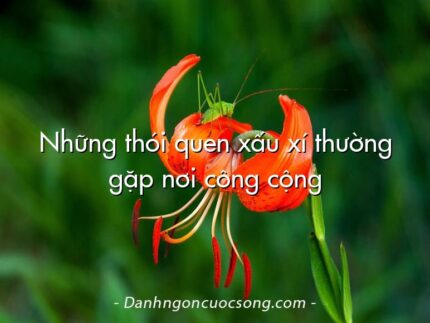 Những thói quen xấu xí thường gặp nơi công cộng