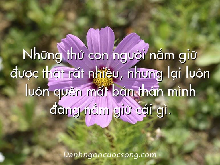 Những thứ con người nắm giữ được thật rất nhiều, nhưng lại luôn luôn quên mất bản thân mình đang nắm giữ cái gì.