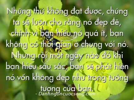 Những thứ không đạt được, chúng ta sẽ luôn cho rằng nó đẹp đẽ, chính vì bạn hiểu nó quá ít, bạn không có thời gian ở chung với nó. Nhưng rồi một ngày nào đó khi bạn hiểu sâu sắc, bạn sẽ phát hiện nó vốn không đẹp như trong tưởng tượng của bạn.