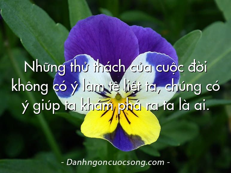 Những thử thách của cuộc đời không có ý làm tê liệt ta, chúng có ý giúp ta khám phá ra ta là ai.