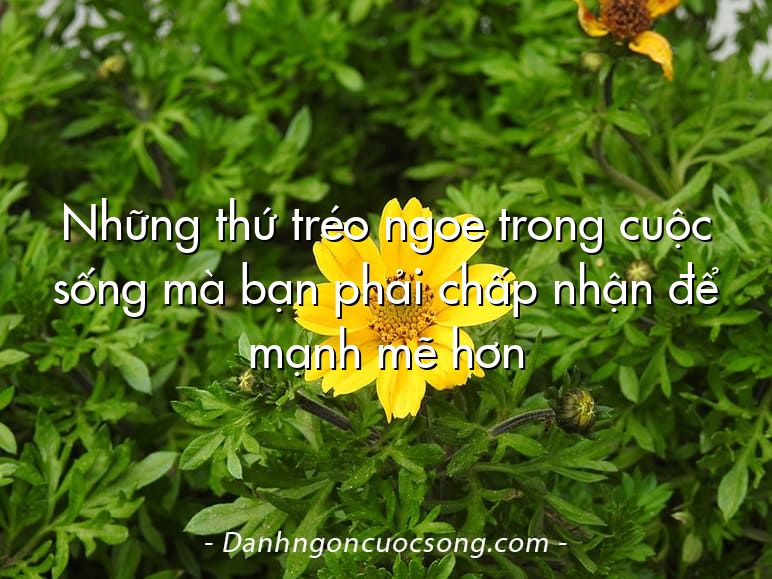 Những thứ tréo ngoe trong cuộc sống mà bạn phải chấp nhận để mạnh mẽ hơn